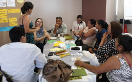 Agricultura participa da oficina de mapeamento e análise das cadeias de valor de plantas medicinais 
