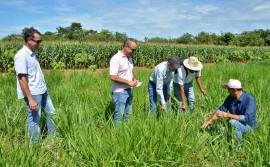 Ruraltins participa da Semana Nacional do Extensionista em Brasília