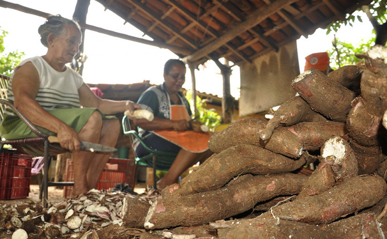  Prazo para produtores  quitar as dívidas termina no dia 27 deste mês