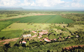 Ruraltins e parceiros preparam Feira Agrosudeste