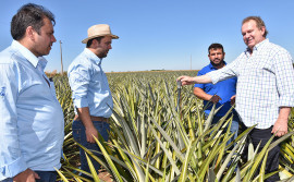 Governo oferta consultorias para potencializar o desenvolvimento do Estado
