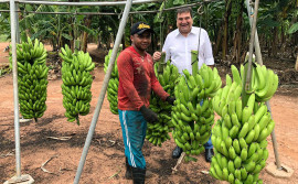 Estado defende trabalho integrado para aumentar produção dos projetos Manuel Alves e São João