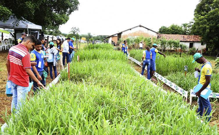 Colégio Agrícola de Almas sediará 5ª edição da Agrosudeste