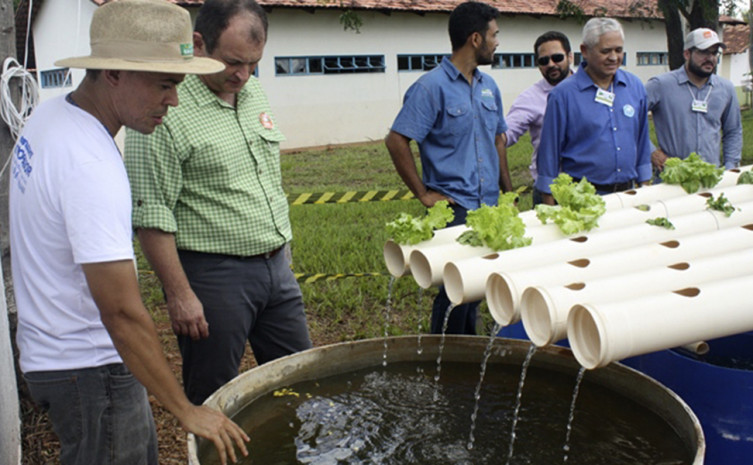 Agrosudeste é referência para produtores rurais e escolas da região sudeste do Tocantins