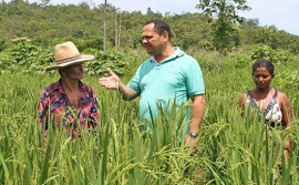 Ruraltins comemora 30 anos ao lado do produtor rural 