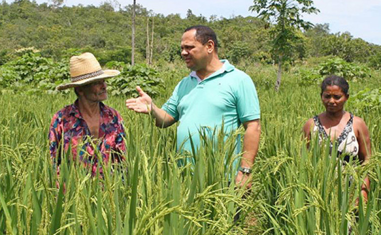 O Ruraltins está presente nos 139 municípios do Estado