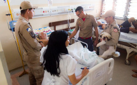 Cães do projeto Cinoterapia são utilizados na recuperação de pacientes do HGP