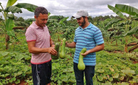Ruraltins ministra curso de boas práticas aos agricultores do Programa de Aquisição de Alimentos em Recursolândia