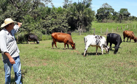 Ruraltins incentiva aumento da produtividade e desenvolvimento do agricultor familiar por meio do crédito rural