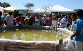 Ruraltins promove capacitações na Exposição de Silvanópolis
