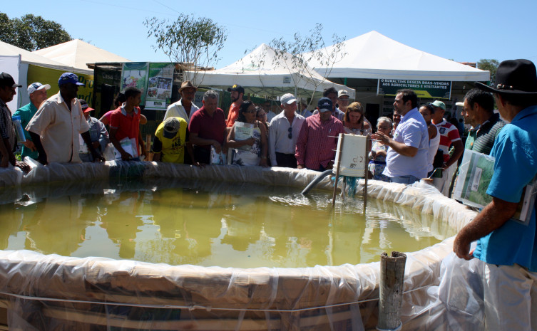 O Ruraltins apresenta ainda uma unidade do Sisteminha da Embrapa na Expo Silvanópolis