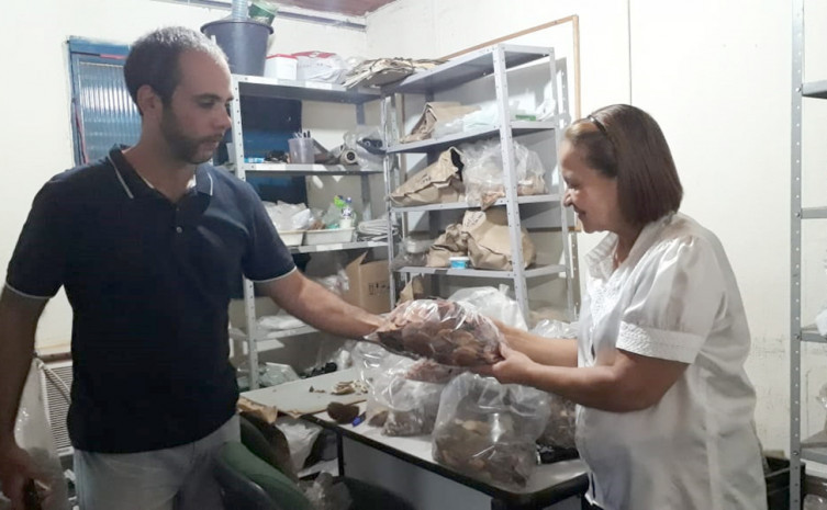 Sementes utilizadas foram doadas pelo Ruraltins