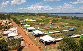 Centro Agrotecnológico de Palmas realiza ações de transferência de tecnologia 