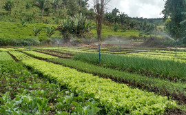 Seagro participa com diversas atividades agropecuárias na Expoara 2019