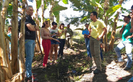 Agricultura e parceiros realizam curso sobre sistemas agroflorestais no Jalapão