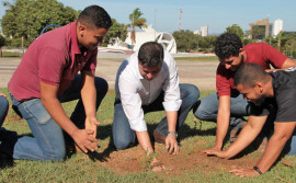 Unitins lança Projeto de Arborização da Praça dos Girassóis com doação e plantio de mudas nativas do Cerrado