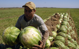 Secretaria da Agricultura discute sustentabilidade em áreas de várzea do Tocantins 