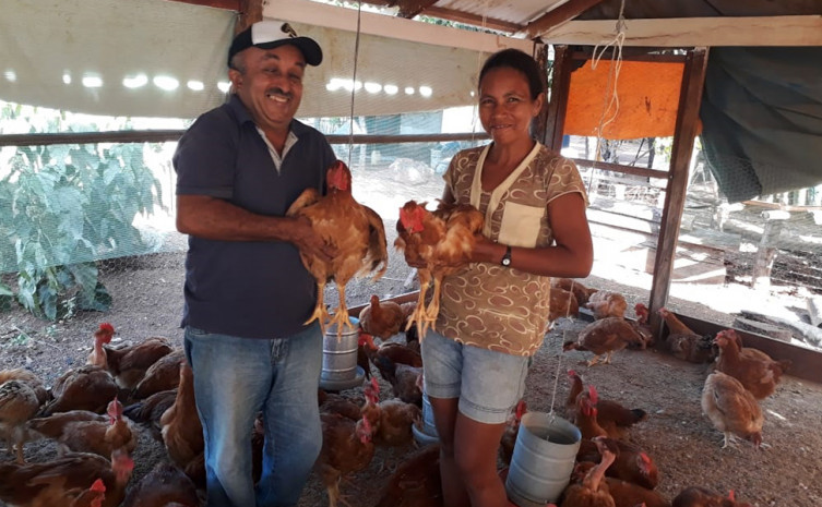 Casal Francisca Cursino Ribeiro e João Costa da Silva, de Pedro Afonso, vem conquistando qualidade de vida, com a criação de aves caipira