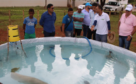 Instituto de Desenvolvimento Rural integra programação da 15ª Exposição Agropecuária de Taguatinga