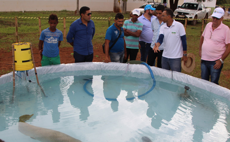 Sisteminha Embrapa será demonstrado pelo Ruraltins na Exposição Agropecuária de Taguatinga