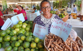 Agricultura familiar terá juros menores no Plano Safra 2019/2020