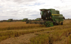 Agricultura é parceira do 9° Seminário da cadeia produtiva do arroz no Tocantins 