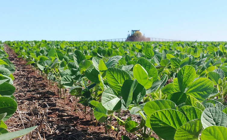 Caracterizada como feira da soja, a temática destaca a importância da soja na região nordeste do Tocantins