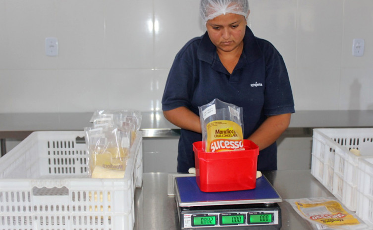 Produtor mostra beneficiamento da mandioca no  Projeto São João