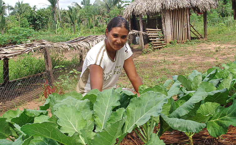 Cerca de 15 milhões de mulheres vivem na área rural, o que representa 47,5% da população residente no campo no Brasil