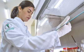 Fapt divulga resultado preliminar do Programa Pesquisa para o SUS