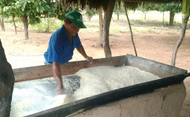 Comunidade rural se torna caso de sucesso por meio do Crédito Fundiário