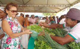Ruraltins e parceiros organizam os preparativos para feira e encontro da agricultura familiar de Arraias