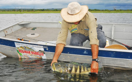 Formoso do Araguaia destaca-se como paraíso da pesca esportiva