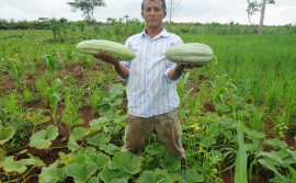 Agricultura é parceira nas atividades do Agosto Verde para atender produtores rurais