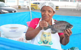 Ação da campanha de empoderamento de mulheres rurais no Tocantins é destaque em site da ONU