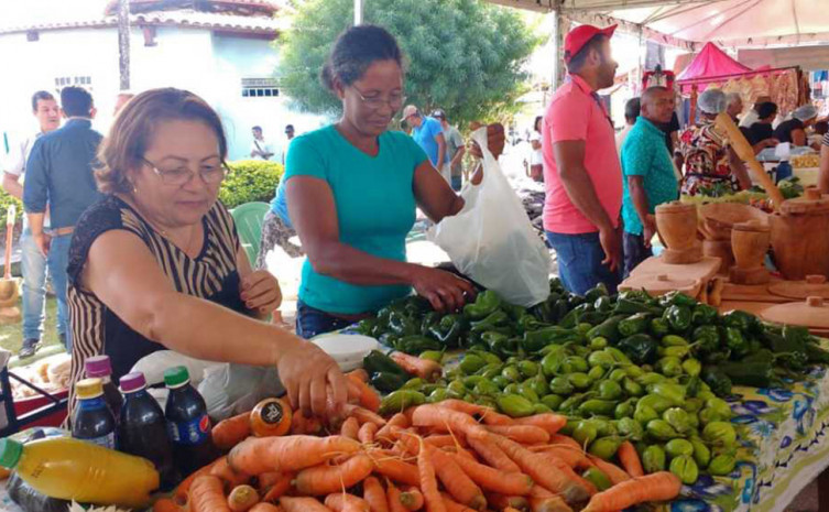 Cerca de 120 expositores participaram da feira em Arraias