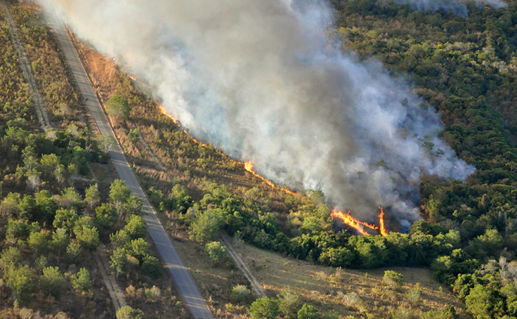 Evite lançar “bituca” de cigarro pela janela do veículo quando for trafegar por rodovias ou estradas vicinais, pois a vegetação seca pega fogo com muita facilidade, devido à baixa umidade do período de estiagem