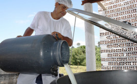 Seminário do leite busca intensificar produção em Combinado e região