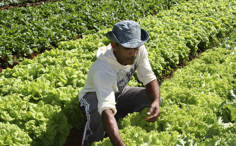 Além dessa proposta de R$ 3 milhões está sendo negociado mais R$ 12 milhões junto ao Ministério da Cidadania para a compra de produtos