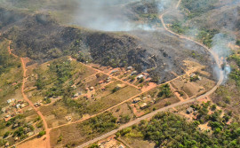 Incêndios florestais voltam a atingir a Capital e Defesa Civil Estadual pede que população denuncie quem ateia fogo