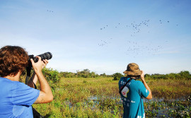 Governo do Estado desenvolve projeto voltado ao turismo de observação de aves