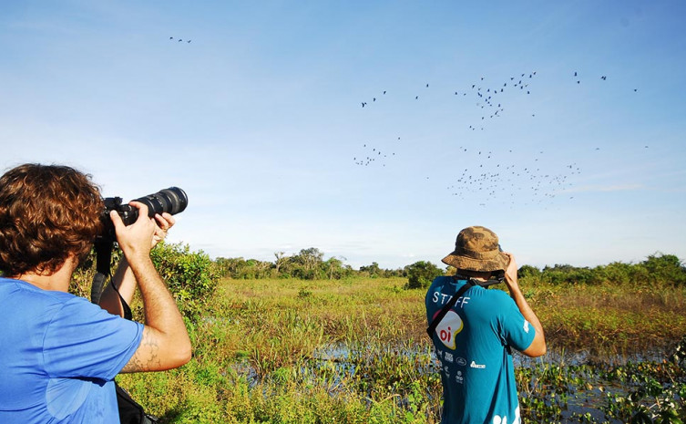 O Tocantins possui grande potencial para o turismo de observação de aves