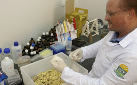 Pesquisador do Tocantins estuda distúrbios neurológicos induzidos por deficiência de vitamina B1