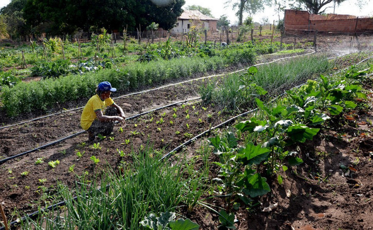 Cerca de de nove mil agricultores familiares no Tocantins, ainda abrangidos pela lei 13.340, podem obter descontos de 85% a 90%, em juros e multas