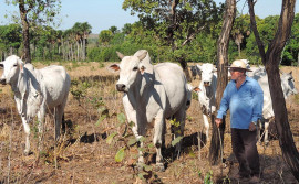 Mutirão do Agrocrédito percorre propriedades rurais de Ponte Alta do Tocantins