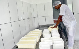 Agricultura cria projeto para produção de queijo na região sudeste