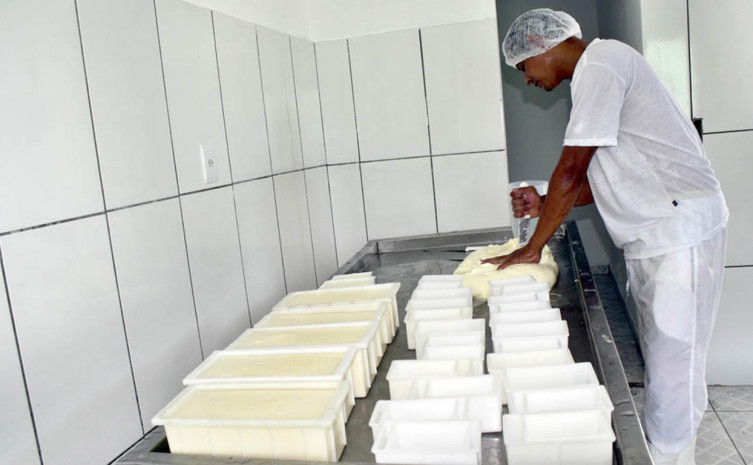 Segundo estudo da Embrapa, o queijo de búfala chega a ter 48% a mais de proteína do que o laticínio comum (de vaca) e 59% a mais de cálcio