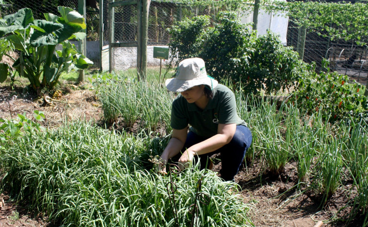  Objetivo do seminário é trazer alternativas de produção mais sustentável de alimentos tendo como base a agroecologia