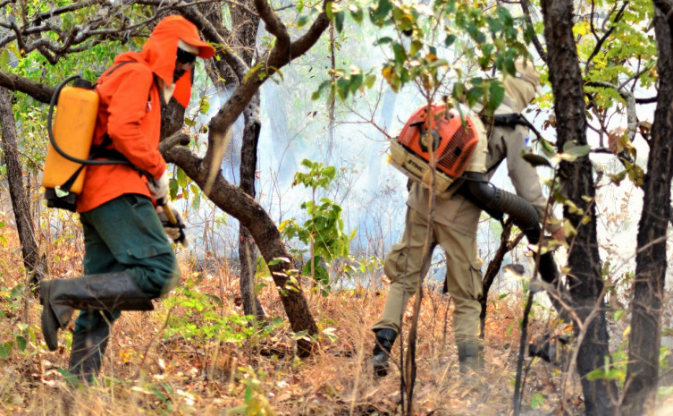 Bombeiros militares e brigadistas atuam em combate a incêndio florestal