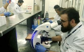 Pesquisa determina risco de alimentos clandestinos  de origem animal 